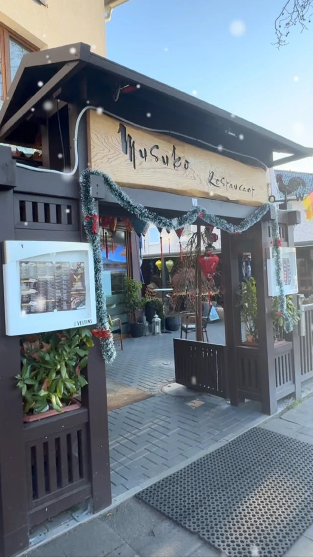 Weihnachten in Musuko Helmstedt🎄🎄🎄#musukohelmstedt